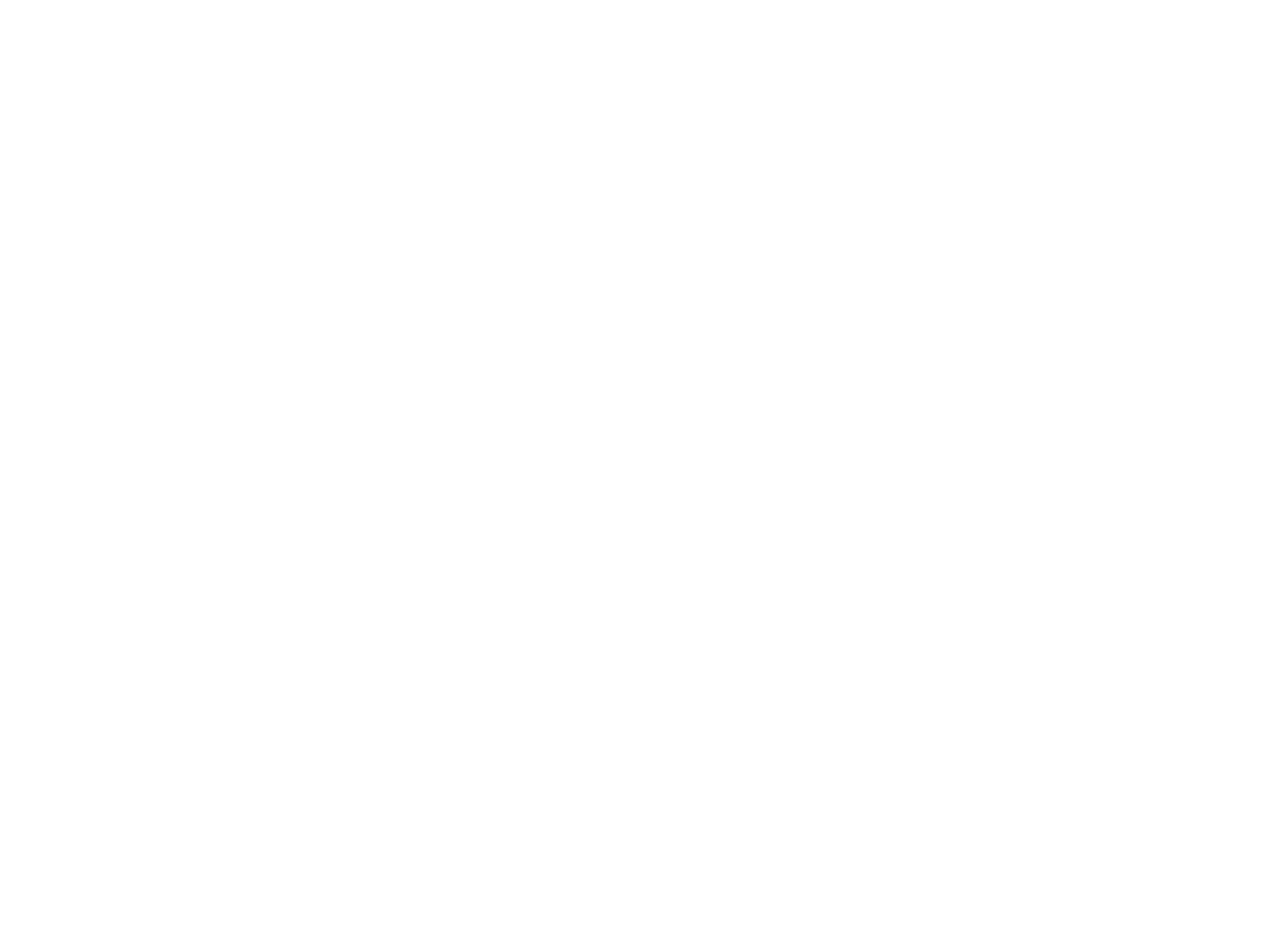 niro mode